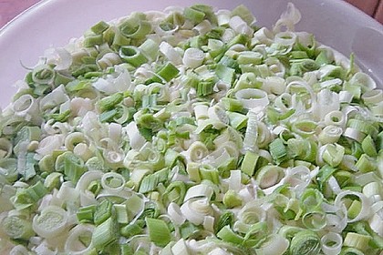 Schichtsalat 2