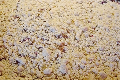 Pflaumenkuchen mit Pudding und Streusel 1