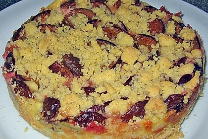 Pflaumenkuchen mit Pudding und Streusel 3