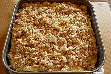 Pflaumenkuchen mit Pudding und Streusel 6