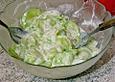 Sneshanka Salat