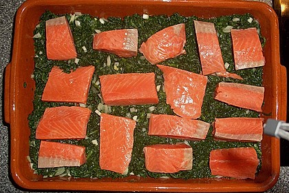 Lachs - Spinat - Auflauf 7
