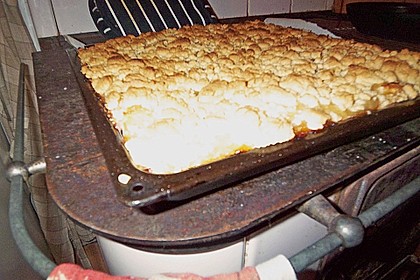 Streusel Apfel Blechkuchen 13
