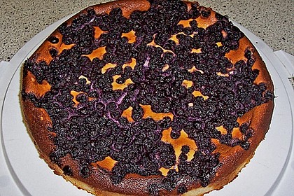 K&auml;se - Heidelbeer Kuchen 1