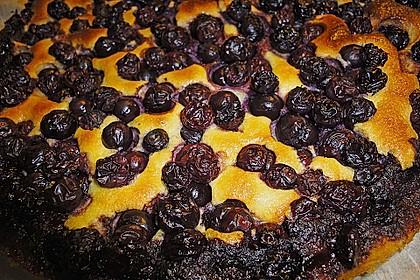 K&auml;se - Heidelbeer Kuchen 5
