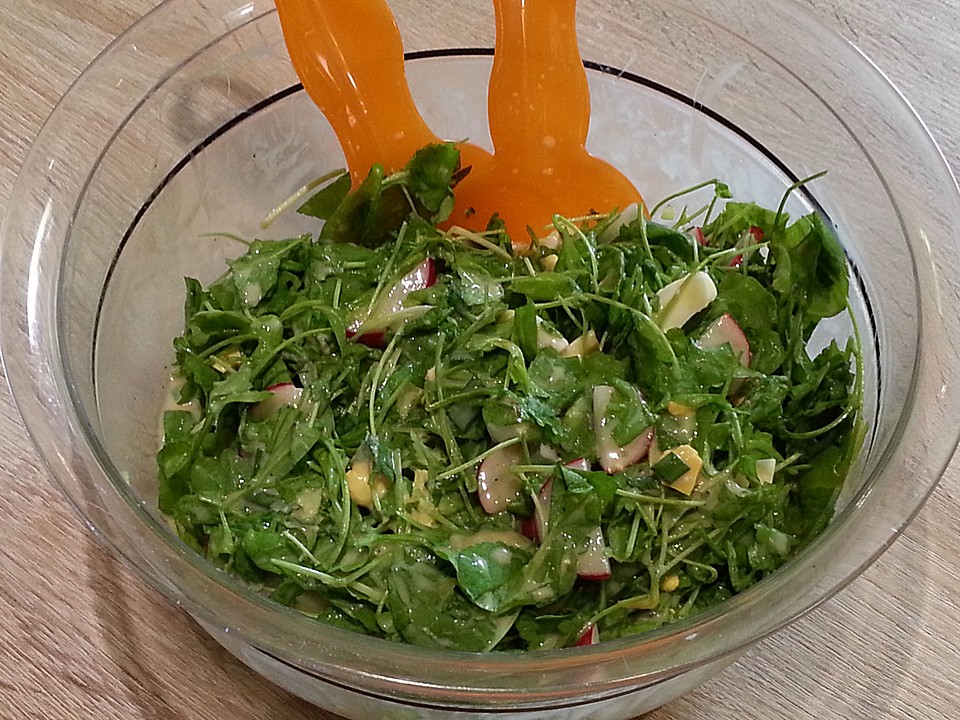 Sommerlicher Kressesalat mit Radieschen und Ei (Rezept mit Bild ...