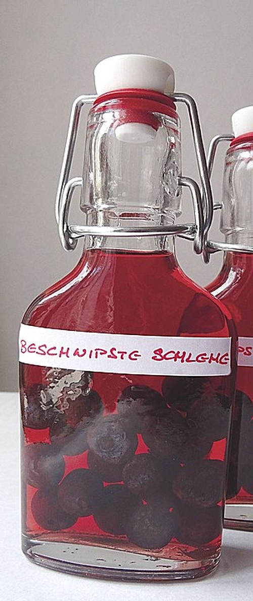 Schlehenlikör mit Honig (Rezept mit Bild) von MargotFischer | Chefkoch.de