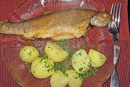 Forelle gebraten 2
