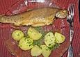 Forelle gebraten