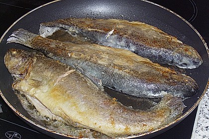 Forelle gebraten 21