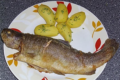 Forelle gebraten 7