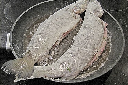 Forelle gebraten 15