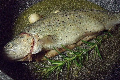 Forelle gebraten 14