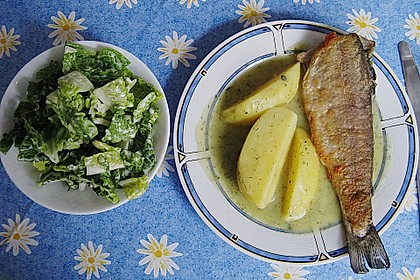 Forelle gebraten 4