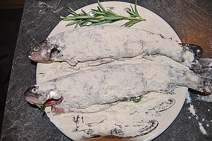 Forelle gebraten 17