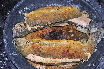 Forelle gebraten 19