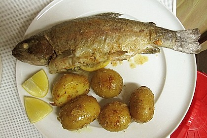 Forelle gebraten 3