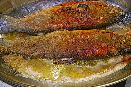 Forelle gebraten 5