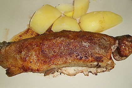 Forelle gebraten 6