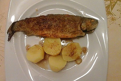 Forelle gebraten 1