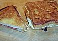 Schinken - K&auml;se - Toast aus der Pfanne