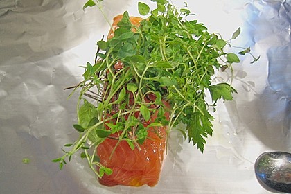 Lachsfilet in Folie