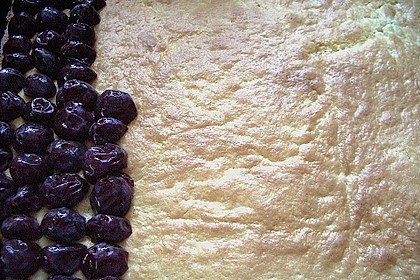 Obststreuselkuchen nach Wahl 26