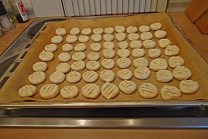 Schneeflöckchen 11