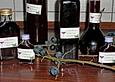 Schlehen-Rotwein-Lik&ouml;r