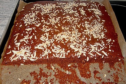 Einfacher Lebkuchen 16