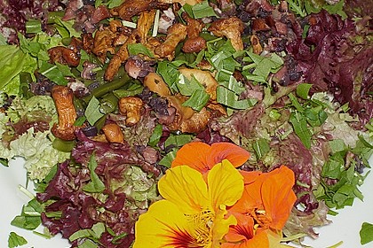 Grüner Bohnen-Pfifferling-Salat 7