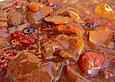 Feines Rehragout mit Beeren