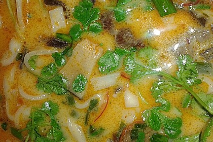 Scharfe Entensuppe 18