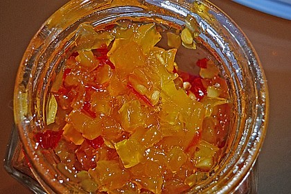 Mango - Paprika - Chutney 8