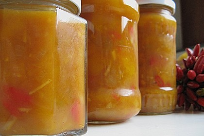 Mango - Paprika - Chutney 3