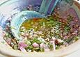 Chimichurri