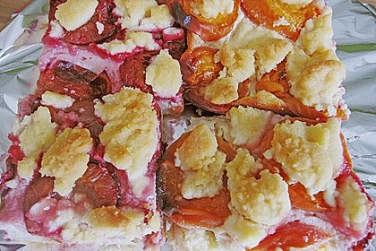 Obst - Quark - Streuselkuchen 4