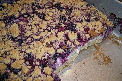 Obst - Quark - Streuselkuchen 5