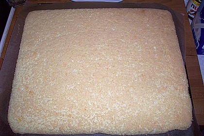 Biskuitteig für Torten und Rollen 13