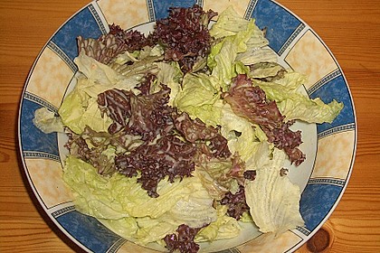 Senf - Dressing 15