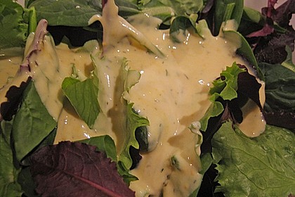 Senf - Dressing 9