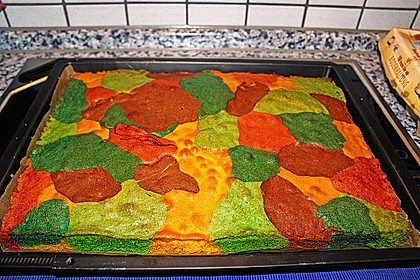 Mutti´s Papageienkuchen 24