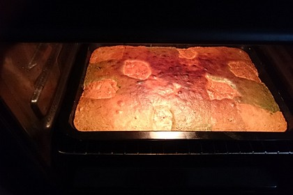 Mutti´s Papageienkuchen 49