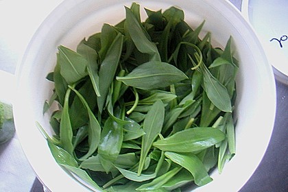 B&auml;rlauchpaste