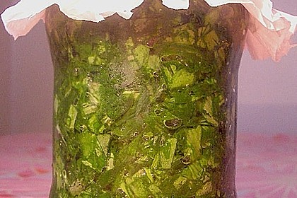 B&auml;rlauchpaste 2