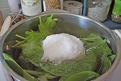 B&auml;rlauchpaste 10