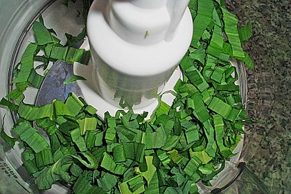 B&auml;rlauchpaste 19