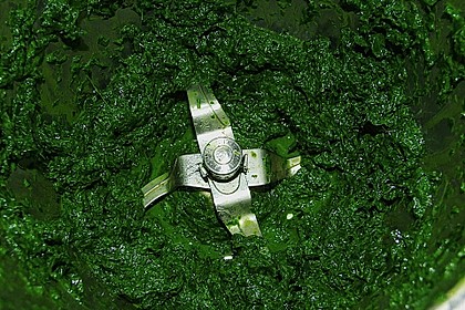 B&auml;rlauchpaste 27