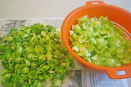 Wachtel auf Rosenkohlsalat mit Preiselbeervinaigrette 2