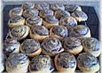 Mohnschnecken